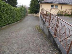 Dach .Terrassen .Fassadenreinigung Von Moss